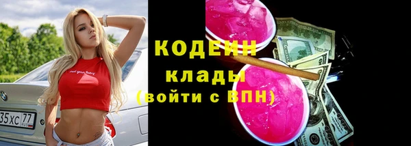 гашик Верея