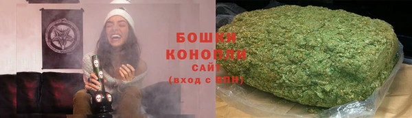 гашик Верея