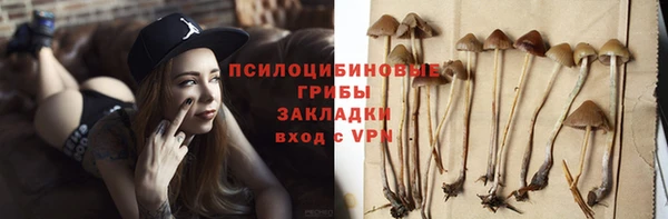 мяу мяу мука Верхний Тагил