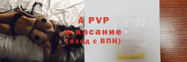 гашик Верея