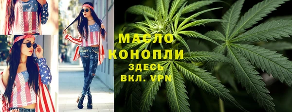 гашик Верея