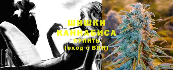 гашик Верея