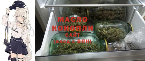 гашик Верея