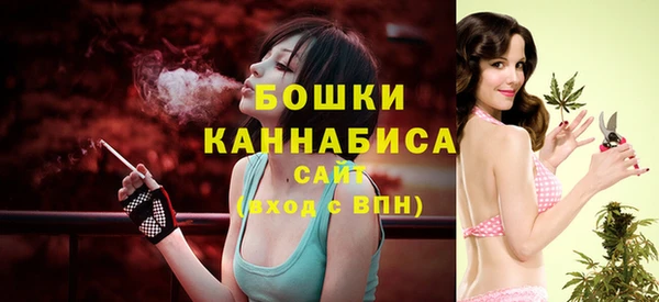 гашик Верея