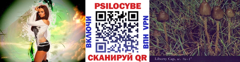 где можно купить наркотик  Армавир  Галлюциногенные грибы Magic Shrooms 